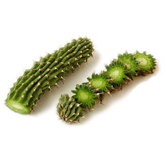 Hoodia Gordonia - Состав Reduslim